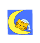 とらねこにゃん太（個別スタンプ：35）