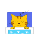 とらねこにゃん太（個別スタンプ：36）