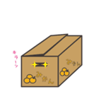 きゃっとの日常2（個別スタンプ：1）