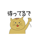 ノラ猫ちゃん（個別スタンプ：11）