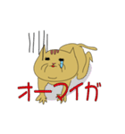 ノラ猫ちゃん（個別スタンプ：21）