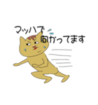 ノラ猫ちゃん（個別スタンプ：30）