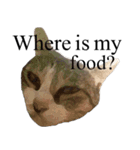 MooMeow（個別スタンプ：2）