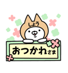 【しょう】の名前ねこ（個別スタンプ：4）