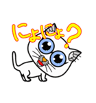 メ・ガ・ネ・コ（個別スタンプ：5）
