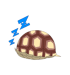 ケヅメリクガメのジャニー（個別スタンプ：2）