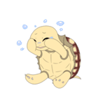 ケヅメリクガメのジャニー（個別スタンプ：16）