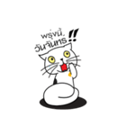 Samsee（個別スタンプ：1）