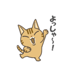 犬あたま猫あたま（個別スタンプ：34）