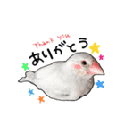 文鳥のスタンプ ー うちのピーちゃん（個別スタンプ：9）