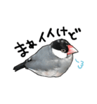 文鳥のスタンプ ー うちのピーちゃん（個別スタンプ：10）