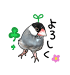 文鳥のスタンプ ー うちのピーちゃん（個別スタンプ：28）