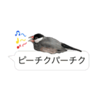文鳥のスタンプ ー うちのピーちゃん（個別スタンプ：29）