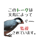 文鳥のスタンプ ー うちのピーちゃん（個別スタンプ：32）