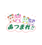 カラフルアロマパンダ（個別スタンプ：5）