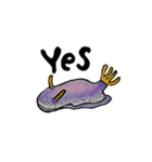 海のいきものしりーず 〜Vol.1〜（個別スタンプ：2）