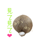 うさぎさんの1日（個別スタンプ：2）