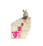 うさぎさんの1日（個別スタンプ：4）