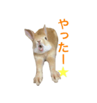 うさぎさんの1日（個別スタンプ：6）