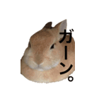 うさぎさんの1日（個別スタンプ：7）