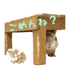うさぎさんの1日（個別スタンプ：8）