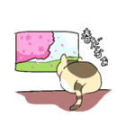 ゆるねこタマ。（個別スタンプ：9）