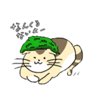 ゆるねこタマ。（個別スタンプ：10）