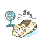 ゆるねこタマ。（個別スタンプ：16）