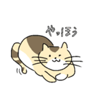 ゆるねこタマ。（個別スタンプ：19）