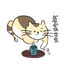 ゆるねこタマ。（個別スタンプ：24）