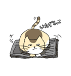 ゆるねこタマ。（個別スタンプ：28）