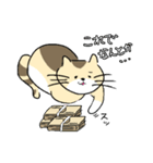 ゆるねこタマ。（個別スタンプ：33）