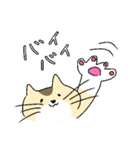 ゆるねこタマ。（個別スタンプ：34）