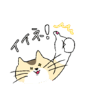 ゆるねこタマ。（個別スタンプ：39）