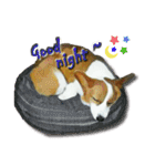 Doggy's Daily Life（個別スタンプ：2）
