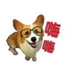 Doggy's Daily Life（個別スタンプ：3）