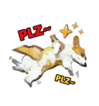 Doggy's Daily Life（個別スタンプ：4）