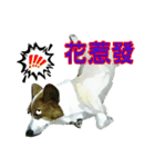 Doggy's Daily Life（個別スタンプ：15）