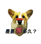 Doggy's Daily Life（個別スタンプ：22）