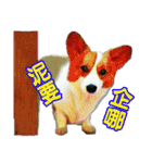 Doggy's Daily Life（個別スタンプ：28）