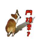 Doggy's Daily Life（個別スタンプ：29）