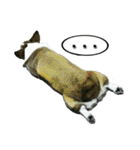 Doggy's Daily Life（個別スタンプ：32）