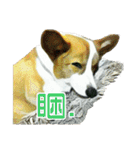 Doggy's Daily Life（個別スタンプ：33）