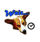 Doggy's Daily Life（個別スタンプ：34）