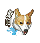 Doggy's Daily Life（個別スタンプ：37）