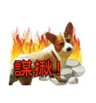 Doggy's Daily Life（個別スタンプ：38）