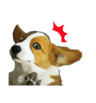 Doggy's Daily Life（個別スタンプ：40）