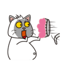 Super fat cat ＆ Nana - Lifestyle（個別スタンプ：14）