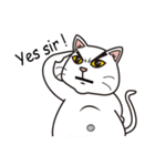 Super fat cat ＆ Nana - Lifestyle（個別スタンプ：23）
