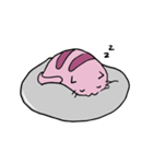 gasorn cat（個別スタンプ：13）